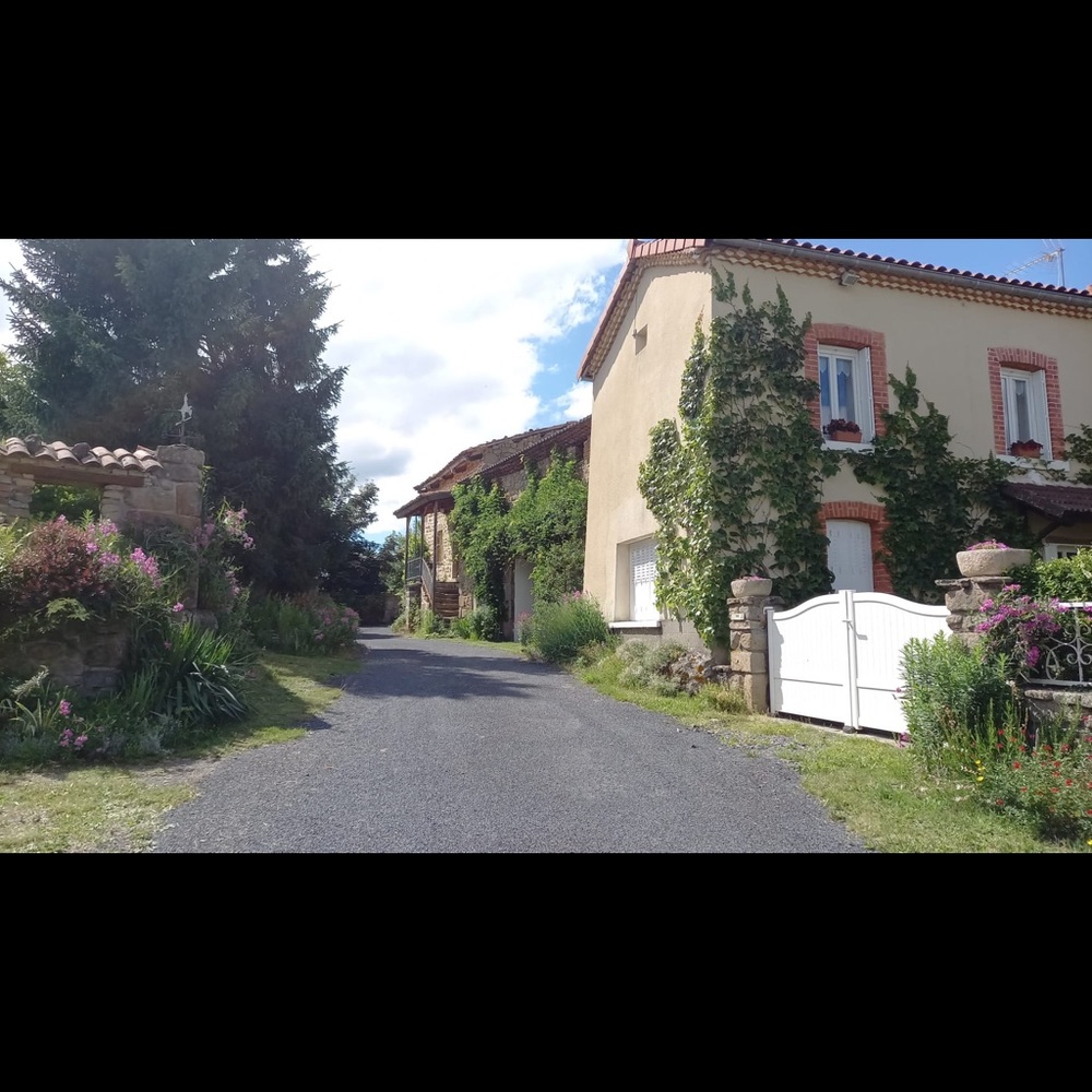 Meet your Posher, Pascale